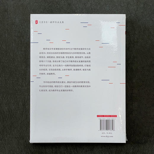 高手教师 大夏书系 铁皮鼓魏智渊最新力作 教师发展研究与实战培训 成长建议 商品图2
