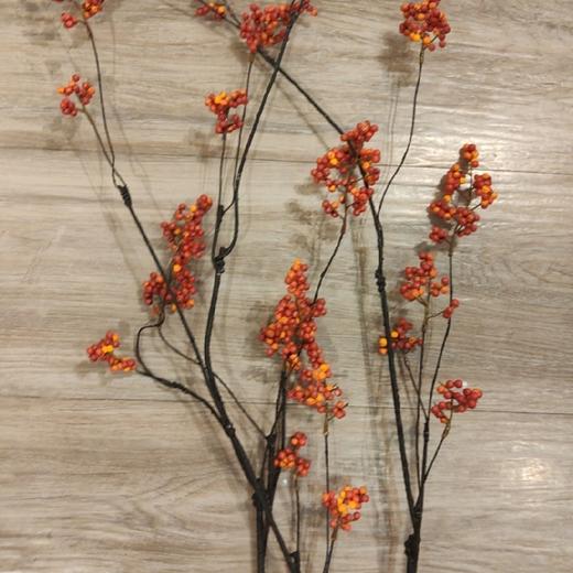 K-HY-5020 花 红果果 商品图0