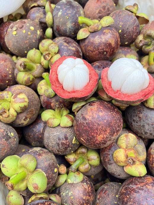 周六配送！【泰国老树麻竹】
水果界真正的白富美，美在果型  饱满圆润  
解乏止渴  健康美味  富含多种维生素
2A小果，一份三斤 商品图0