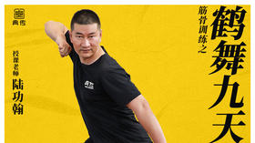 【筋骨盘整专训】1—鹤舞九天（活背+翻背劲）训练营课