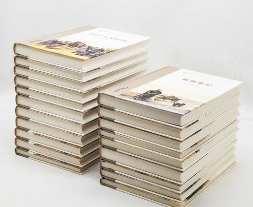 新疆探索发现系列丛书，第一辑，全20册，16开，布脊精装，斯坦因、斯文.赫定、贝格曼、别夫佐夫、储安平、谢彬、林竞、马大正、巫新华、杨濂等著，新疆人民出版社2023年5月一版一印。非偏远地区包邮 商品图2