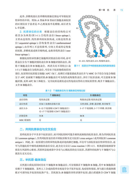 微生物学与免疫学 第9版 吴雄文 强华 十四五全国高等学校药学类专业第九轮规划教材 供药学类专业用 人民卫生出版社9787117348614 商品图3