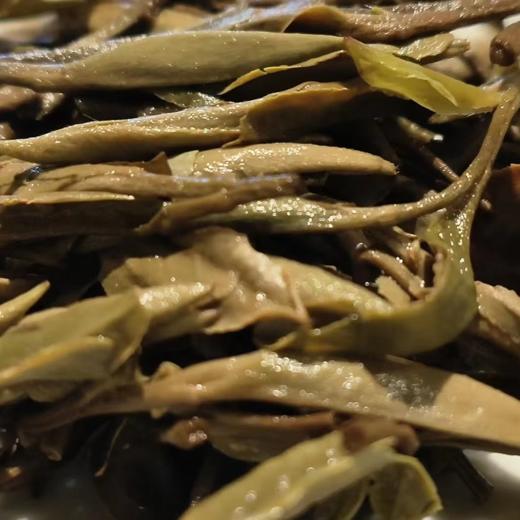 【压群芳】2020年特级白牡丹 商品图5