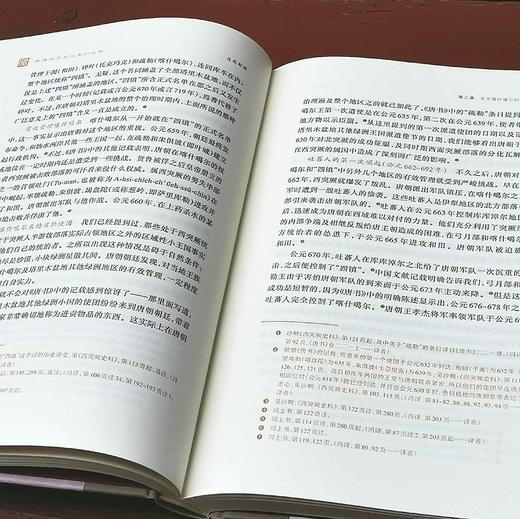 新疆探索发现系列丛书，第一辑，全20册，16开，布脊精装，斯坦因、斯文.赫定、贝格曼、别夫佐夫、储安平、谢彬、林竞、马大正、巫新华、杨濂等著，新疆人民出版社2023年5月一版一印。非偏远地区包邮 商品图9