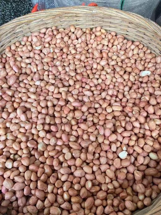 石磨有机花生油  || 自留种、生态种植、宋洁生态农场 商品图1