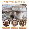 【恩施】恩施市南物食吉食用菌菇干香菇250g 商品缩略图1