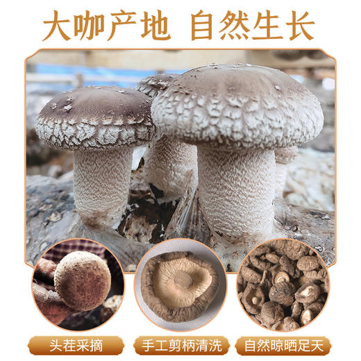 【恩施】恩施市南物食吉食用菌菇干香菇250g 商品图1