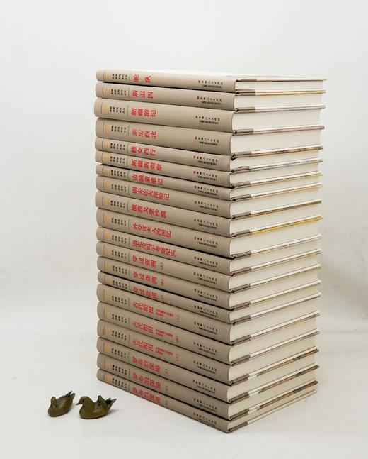 新疆探索发现系列丛书，第一辑，全20册，16开，布脊精装，斯坦因、斯文.赫定、贝格曼、别夫佐夫、储安平、谢彬、林竞、马大正、巫新华、杨濂等著，新疆人民出版社2023年5月一版一印。非偏远地区包邮 商品图1