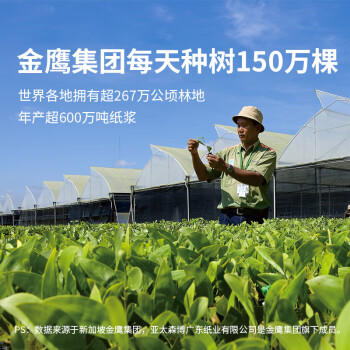 亚太森博拷贝可乐A3打印纸 70g500张*5包 绘图复印纸高品质办公用纸 整箱2500张【专业造纸厂牌】 商品图7