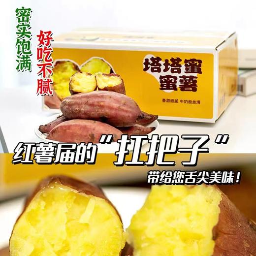 蜜薯地瓜云南塔塔蜜薯5斤 商品图0
