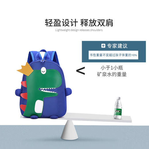 Z1791幼儿园小朋友恐龙小书包3-6岁（颜色随机发货） 商品图2