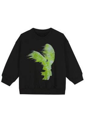 jnby  23年秋款 风吹兔子撞色套头卫衣 1N9412430