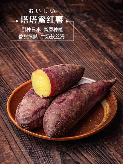 蜜薯地瓜云南塔塔蜜薯5斤 商品图8