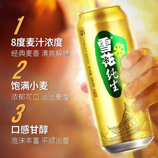 雪花纯生啤酒 500ml*12罐 （保质期到2025年12月1日，介意勿拍） 商品图1