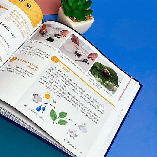 给孩子的气象实验室 商品图0