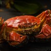 【3598型】阳澄湖镇大闸蟹蟹卡  9月26日开湖 官方授权 4.5两x5公+3.0两x5母 共10只 商品缩略图3
