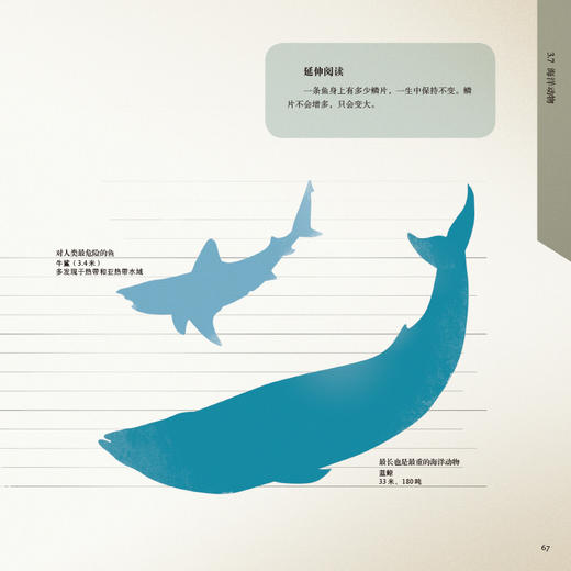 关于世界的一切  一本从浩瀚宇宙探索到微小细胞的好奇心指南 商品图9