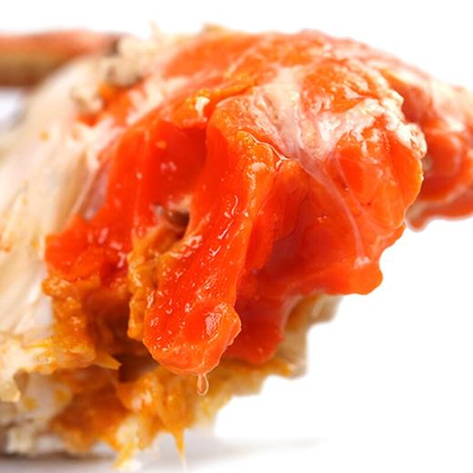 【3598型】阳澄湖镇大闸蟹蟹卡  9月26日开湖 官方授权 4.5两x5公+3.0两x5母 共10只 商品图1