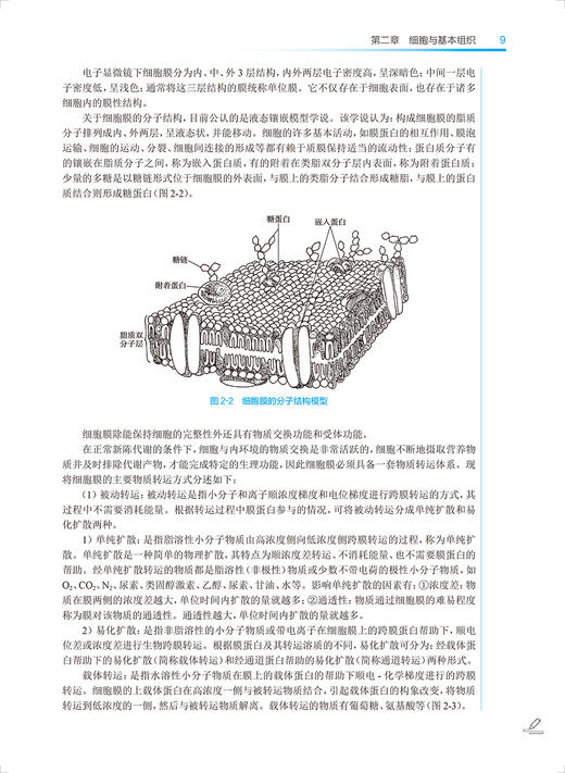 人体解剖生理学 第5版 十四五规划全国中医药高职高专教育教材 供中药制药中药材生产与加工等专业用 人民卫生出版社9787117349239 商品图3
