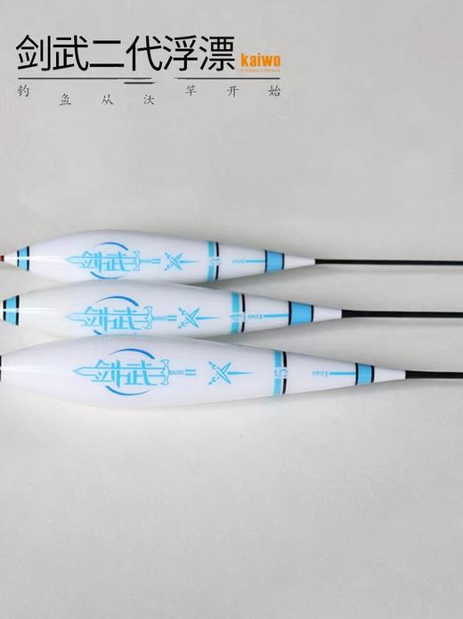 开沃精工剑武二代浮漂 商品图1