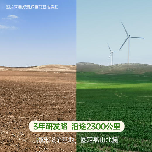 [601道检测无农残]好麦多国燕一号有机燕麦片420g*3袋赠10袋随身装 商品图5