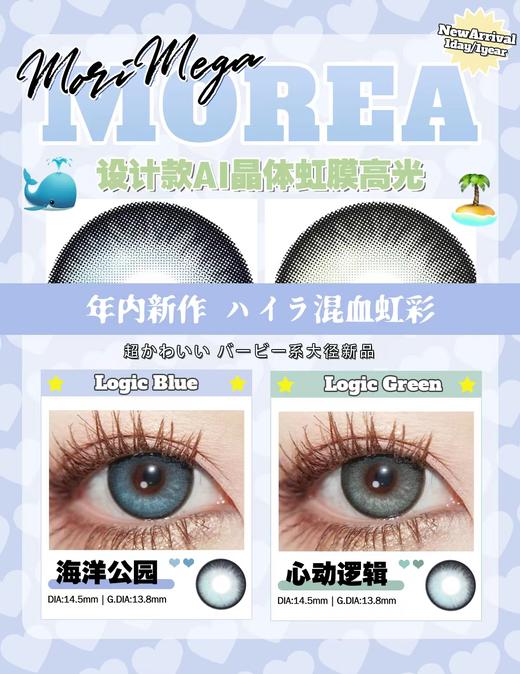 MOREA年抛 商品图5