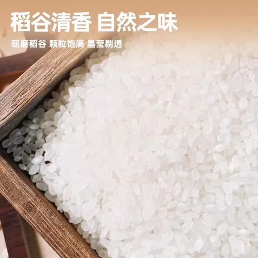 儒丰东北珍珠米5kg/袋 商品图3