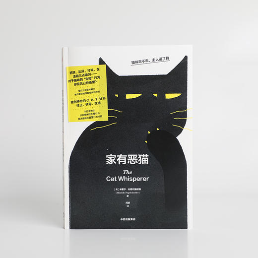 家有恶猫：猫咪乖不乖 主人说了算 刘波等 著 家居 商品图2
