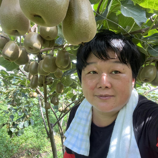 【团购特惠】蒲江红心猕猴桃，您的营养小金库，绿色健康，当季现摘，放到有点软吃，超级美味 商品图7