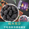 楼兰蜜语新疆大桑葚干果 商品缩略图0