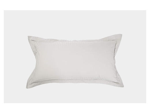 枕头 酒店枕 特大 款专用枕套  白色 商品图0