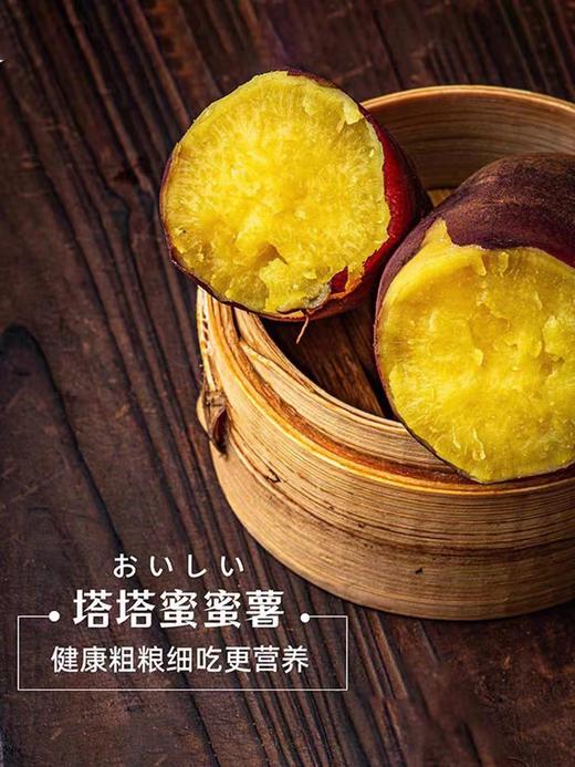 蜜薯地瓜云南塔塔蜜薯5斤 商品图7
