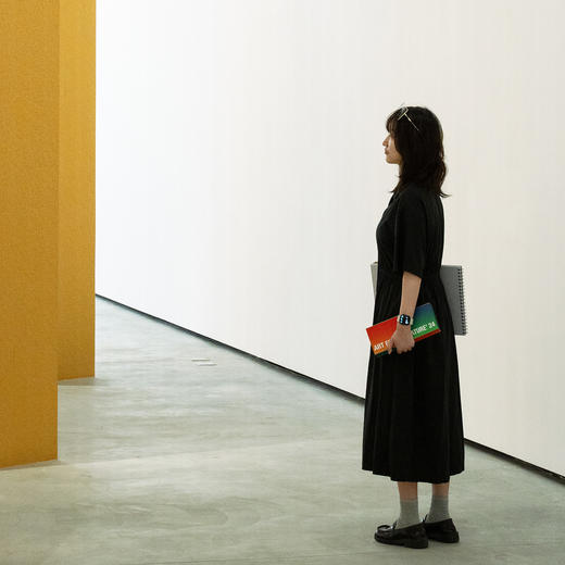 798X豆瓣豆品艺法自然24色水溶彩铅初学者手绘彩色铅笔小白绘画 商品图3