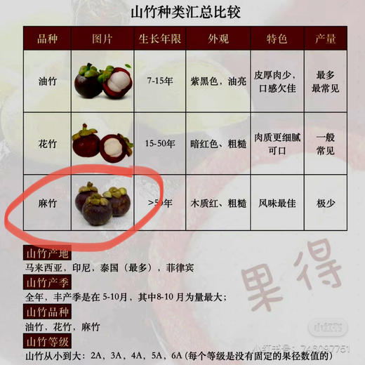 周六配送！【泰国老树麻竹】
水果界真正的白富美，美在果型  饱满圆润  
解乏止渴  健康美味  富含多种维生素
2A小果，一份三斤 商品图2