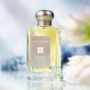 祖玛珑 白苔藓与雪莲 Jo Malone White Moss and Snow Drop「清冷的外表 柔软的内心」 商品缩略图0