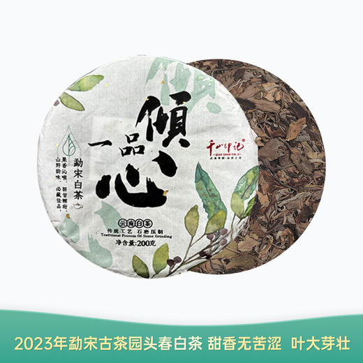 【会员日直播】一品倾心 2023年云南白茶 勐宋白茶 200g/片 买一送一 买二送三 商品图0