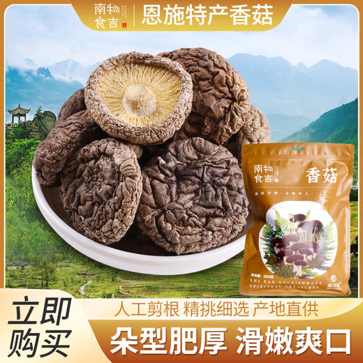 【恩施】恩施市南物食吉食用菌菇干香菇250g 商品图0