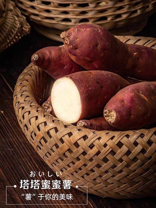 蜜薯地瓜云南塔塔蜜薯5斤 商品图6