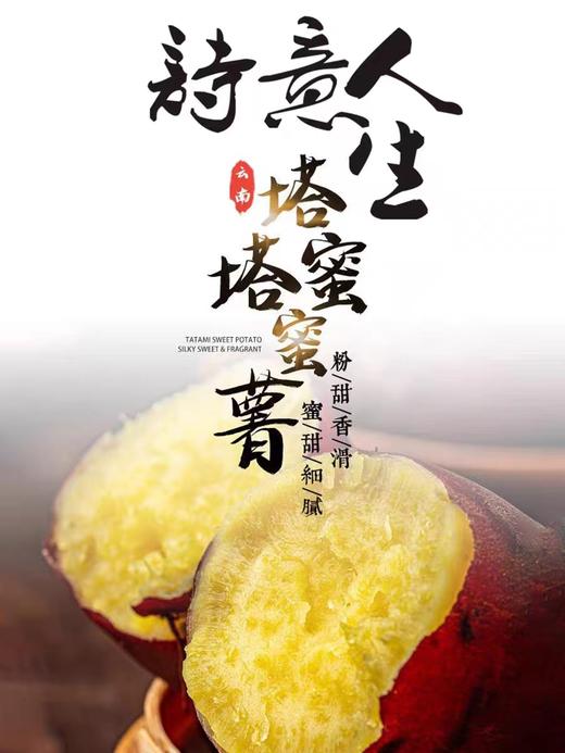 蜜薯地瓜云南塔塔蜜薯5斤 商品图5
