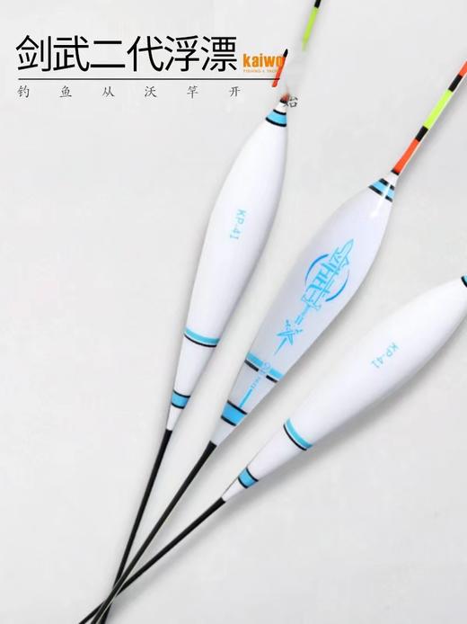 开沃精工剑武二代浮漂 商品图0
