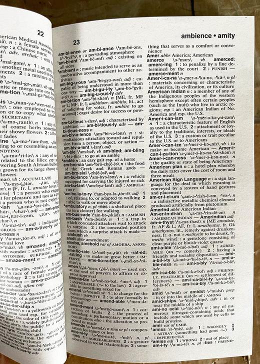 英文原版 The Merriam-Webster Dictionary 韦氏英语词典 韦小红 2022年新版 英文版 进口英语原版书籍 商品图1
