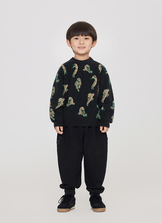 jnby   23年秋款    毛圈布束脚长裤 1N9E12630 商品图8