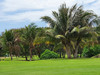 越南头顿美之城高尔夫球场 Vung Tau Paradise Golf Course | 越南高尔夫球场  | 胡志明高尔夫 商品缩略图1