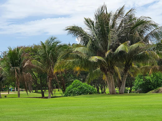 越南头顿美之城高尔夫球场 Vung Tau Paradise Golf Course | 越南高尔夫球场  | 胡志明高尔夫 商品图1