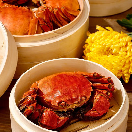 TY【签收超6小时死蟹不包赔】老蟹坊2998型大闸蟹-功成名就【鲜知20.0】 商品图2