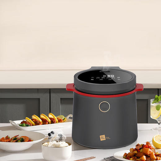 米技（MIJI）德国米技生活电饭煲多功能天幕智能触控触控2L容量 EC-L20 黑色 商品图1