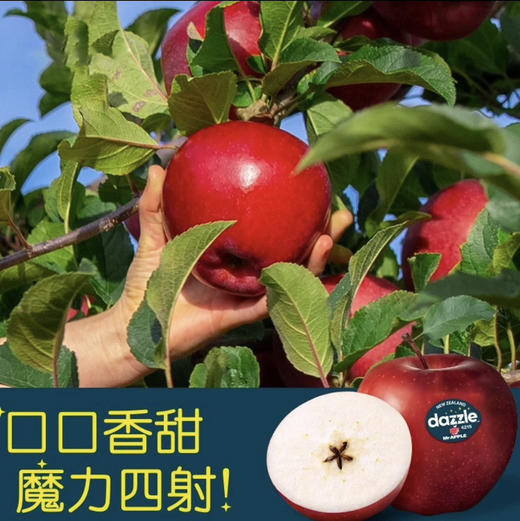 新西兰🇳🇿丹硕苹果非常脆甜 商品图8