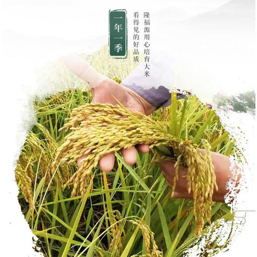 东升隆福源有机稻花香米（双层）5KG 商品图2