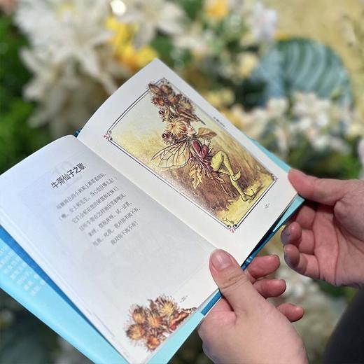 《花仙子·四季》100年珍藏版礼盒 | 内含中英双语珍藏版《花仙子 · 四季》、莫奈四季手帐套装、郁金香仿真花小夜灯等 商品图9