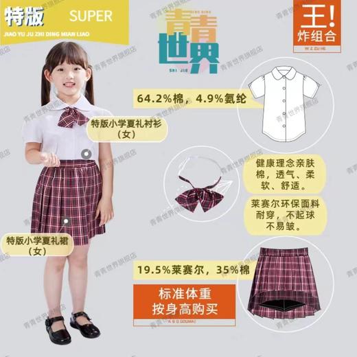 深圳校服小学生夏季礼服(男款)(女款)套装 青青世界特版 商品图1